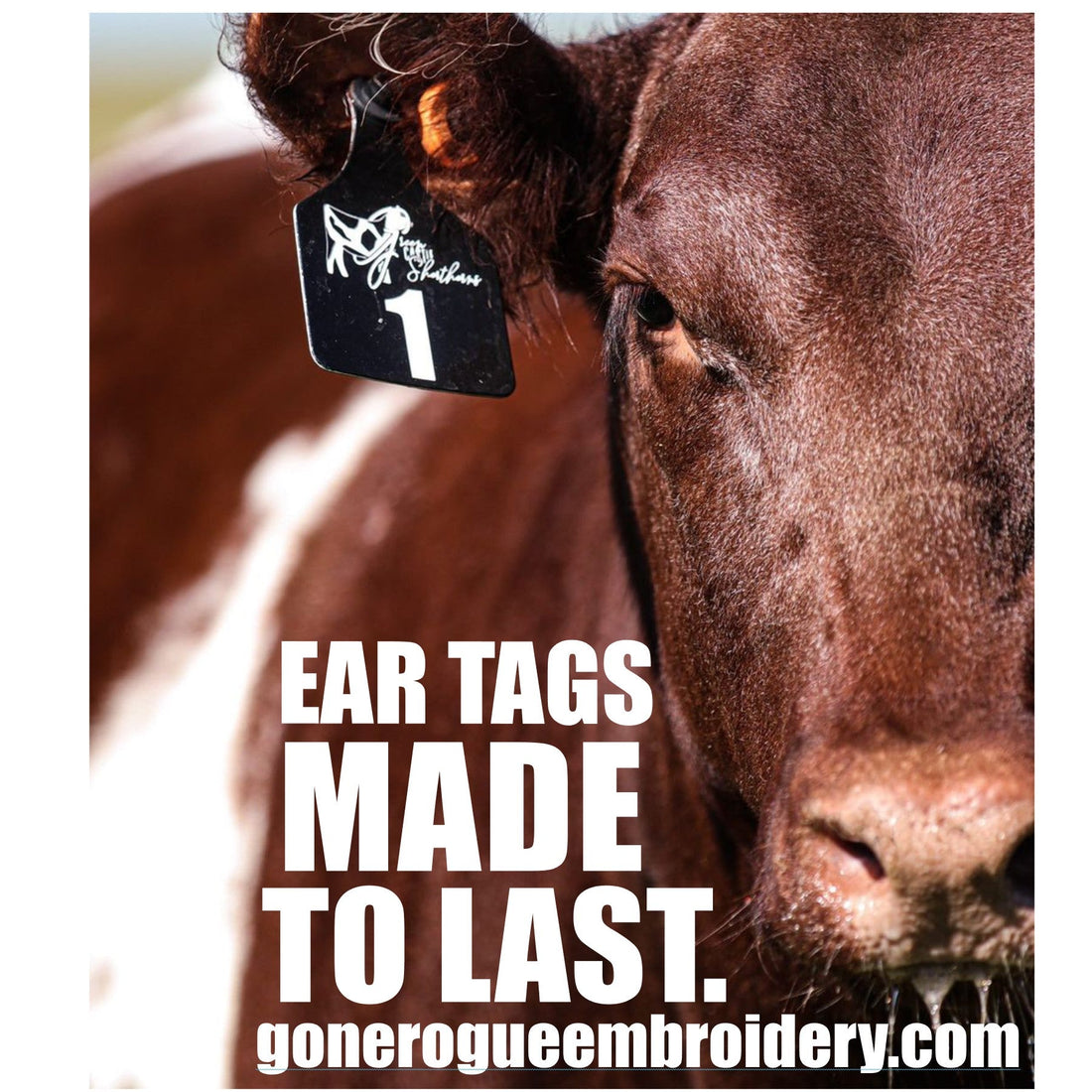 Why Easy-to-Read and Durable Custom Ear Tags Are Essential for Livestock Management