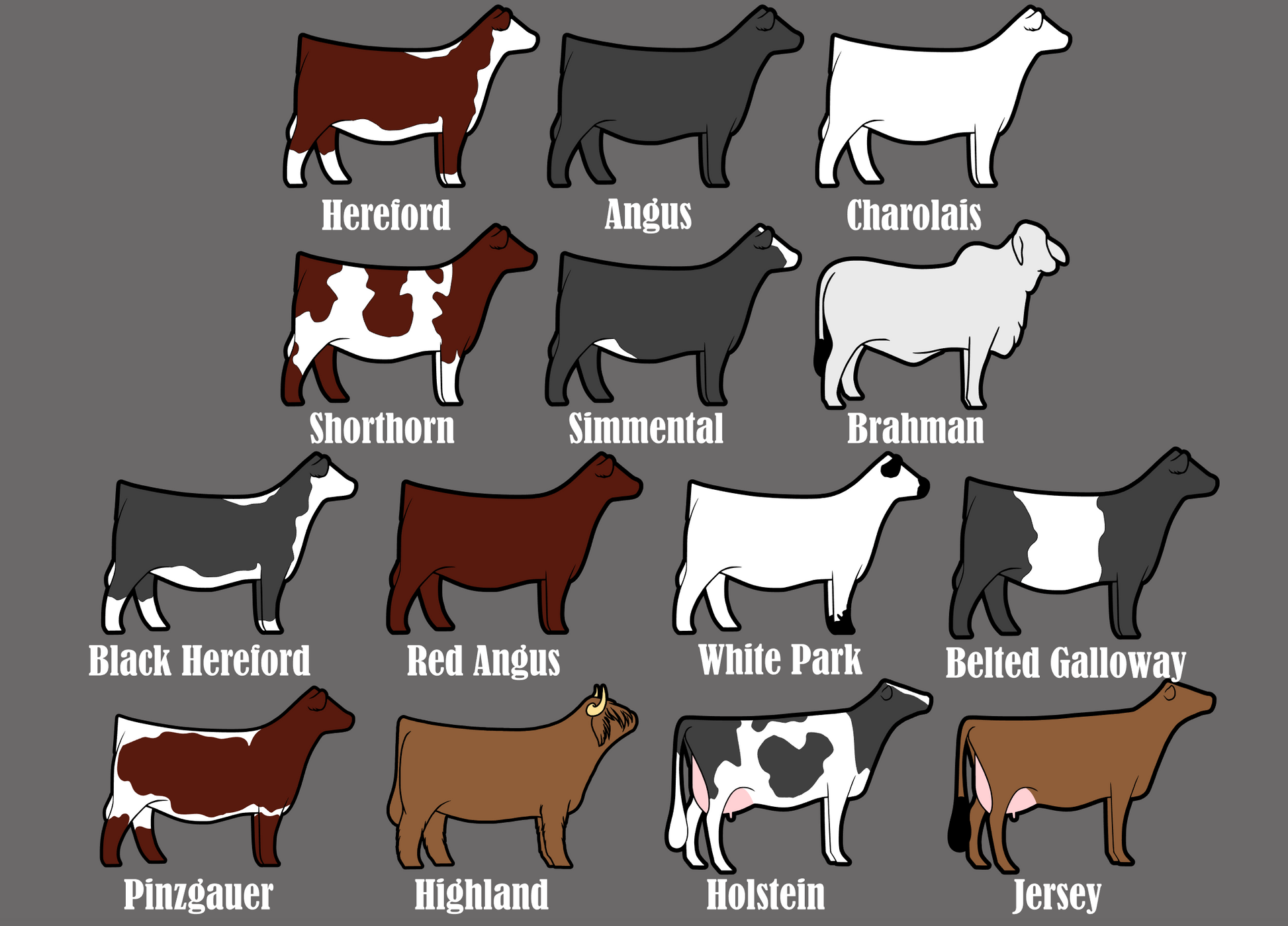 List of available breeds for this custom standing table top figure.