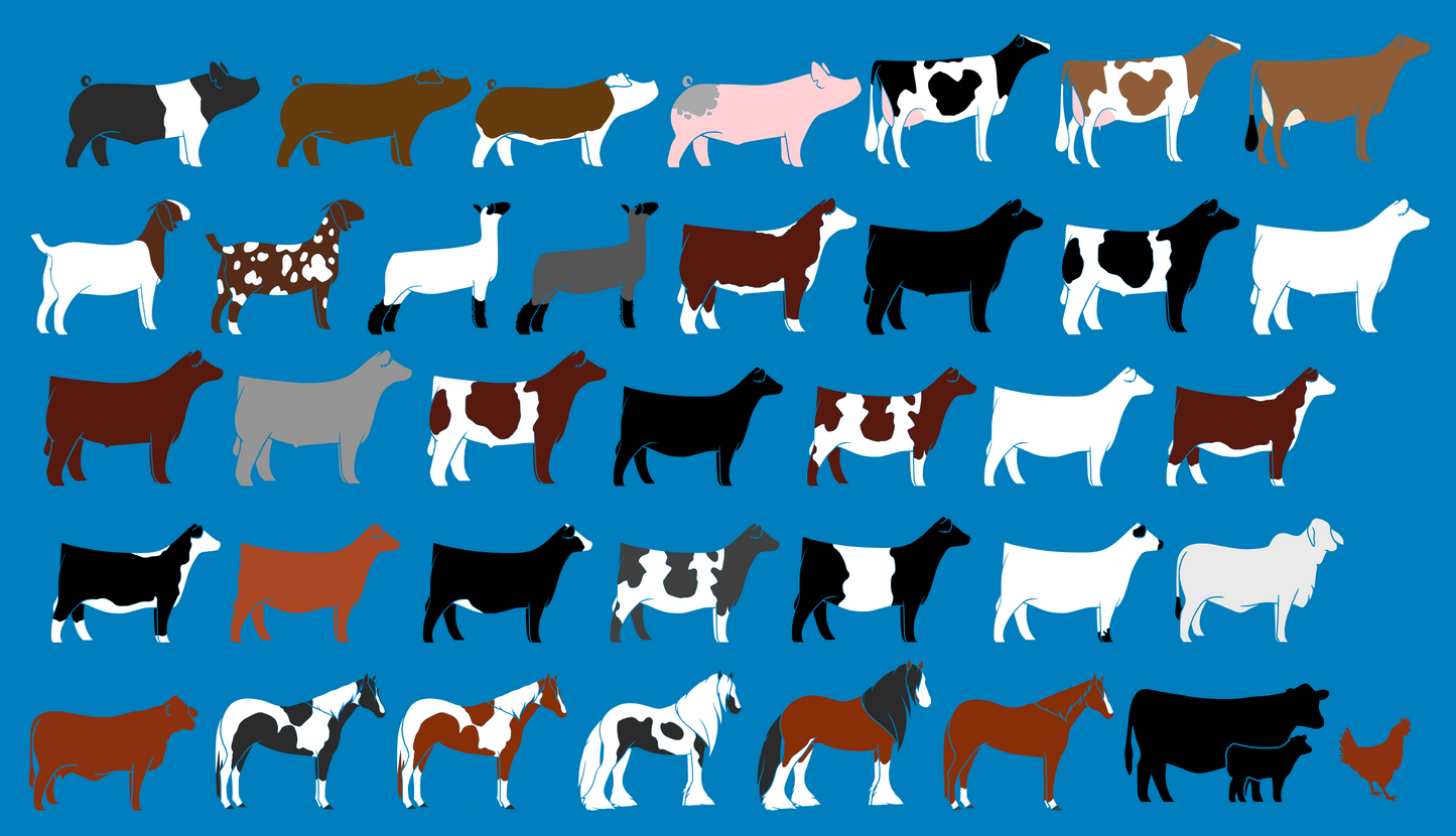 Custom Last Name Wall Sign/Shelf Decor