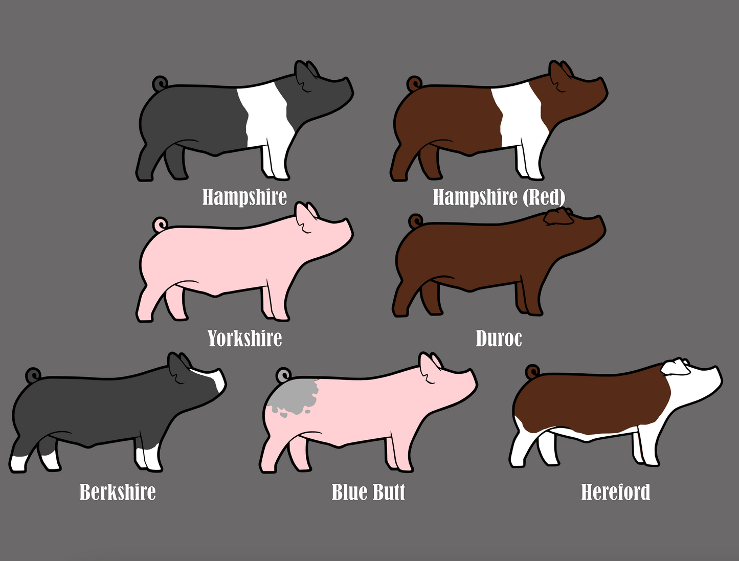 3D Printed Show Pig Stand Up Shelf Figure