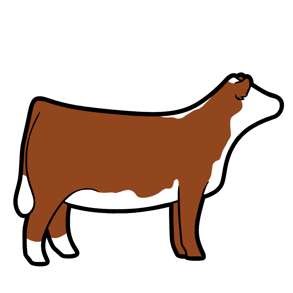 Shop Cattle Products