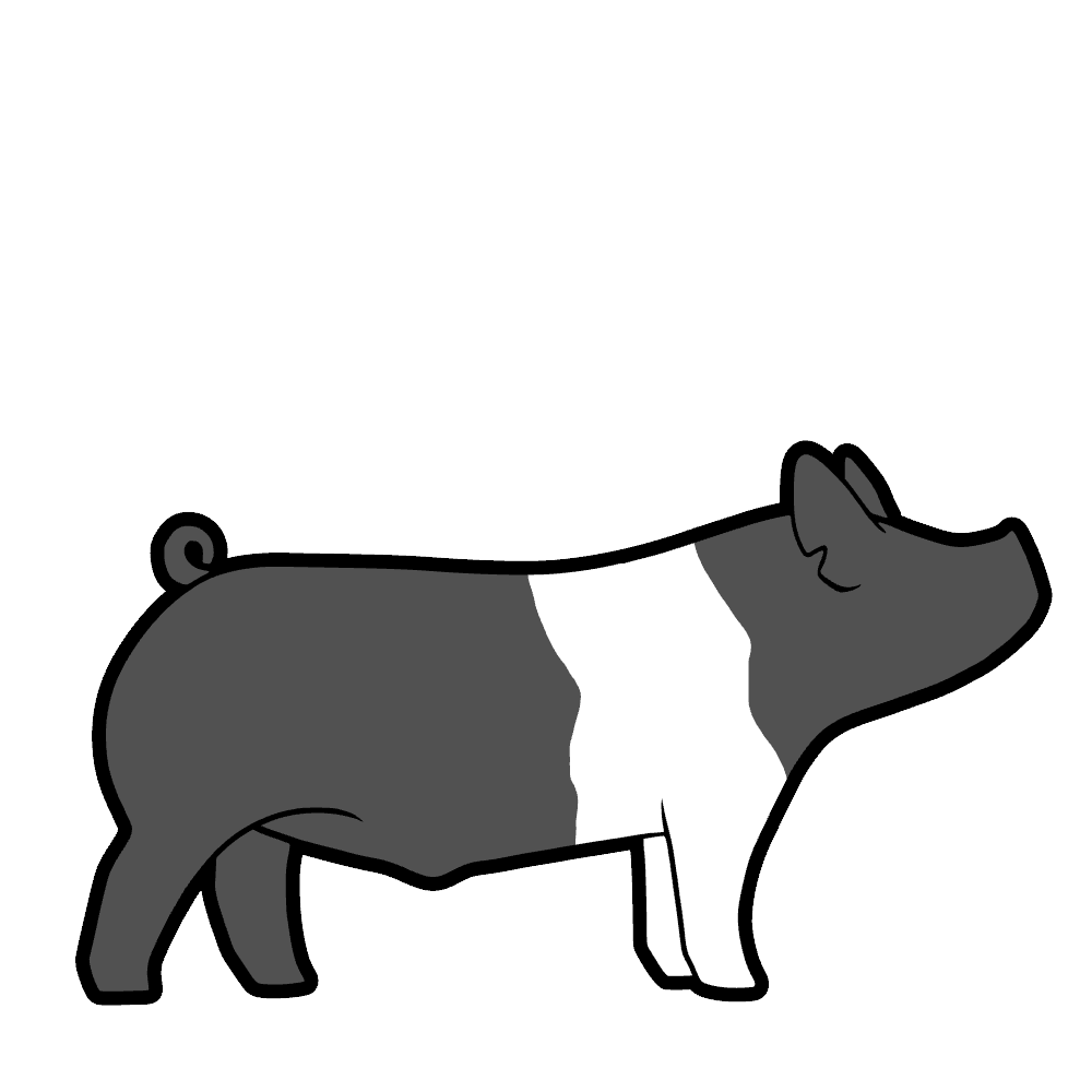 Shop Pig Products