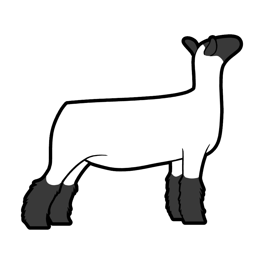 Shop Sheep Products