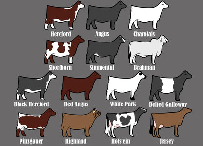 A list of breed options for the buyer thank you gifts.