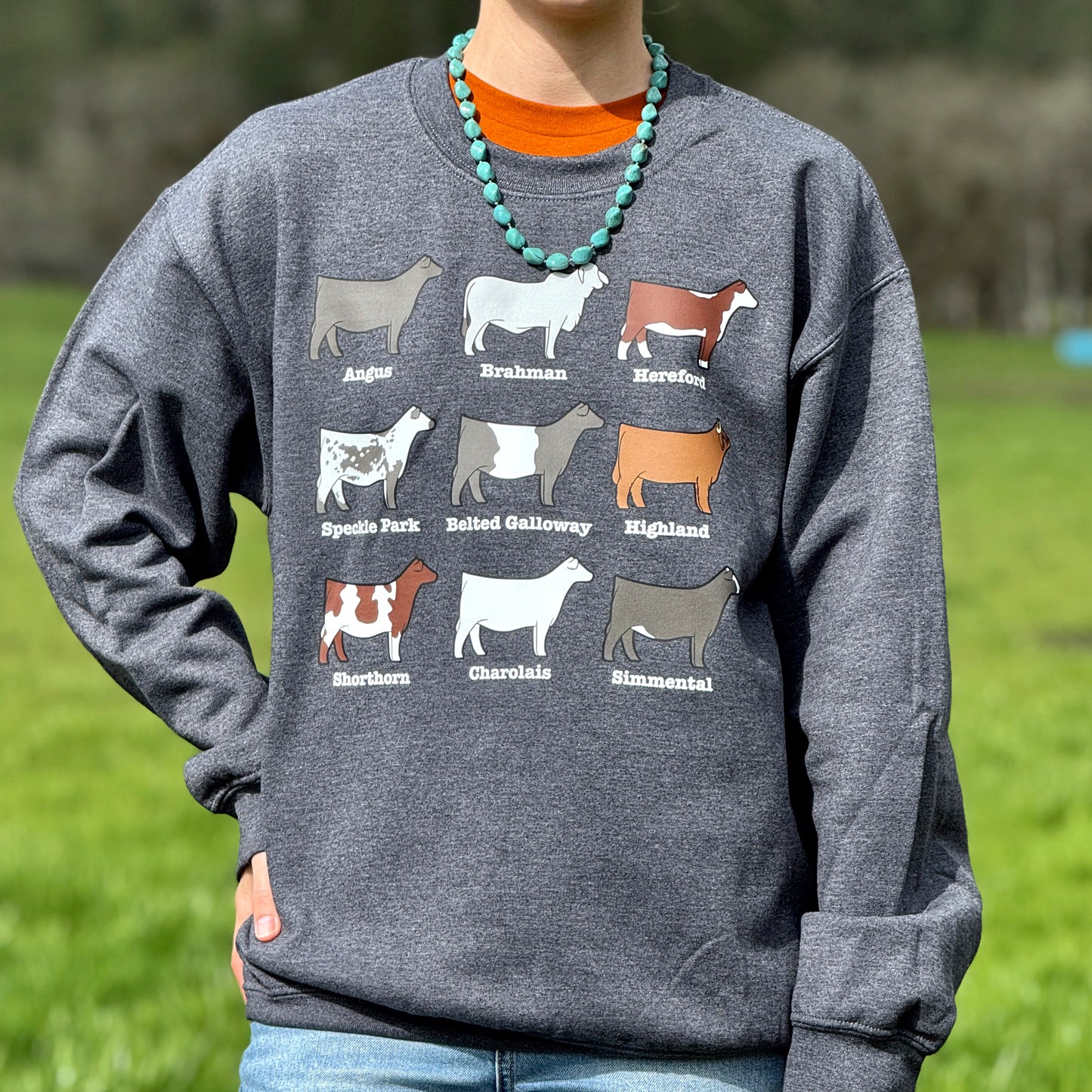 Beef Cattle Breeds Crewneck Sweatshirt