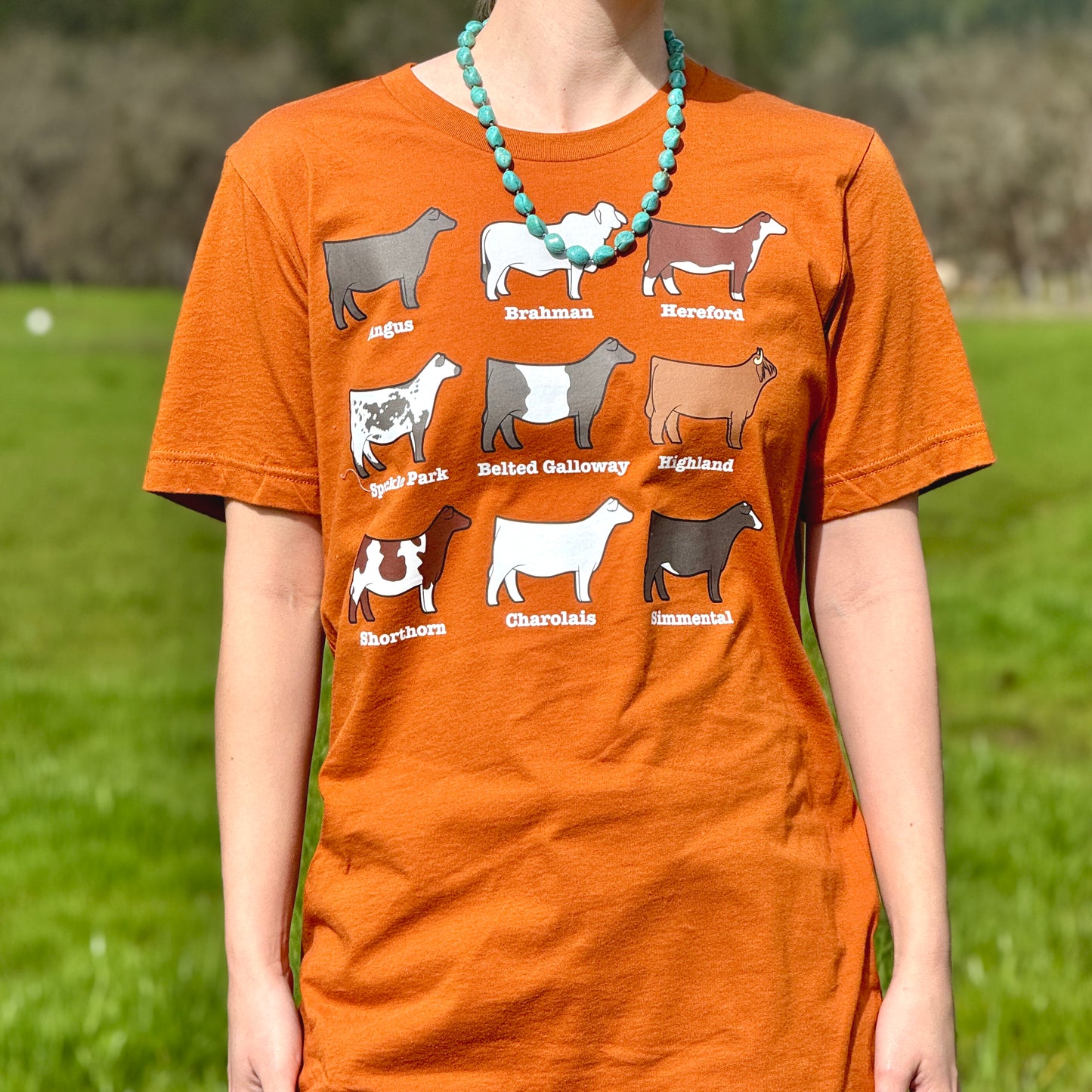 Beef Cattle Breed T-Shirt