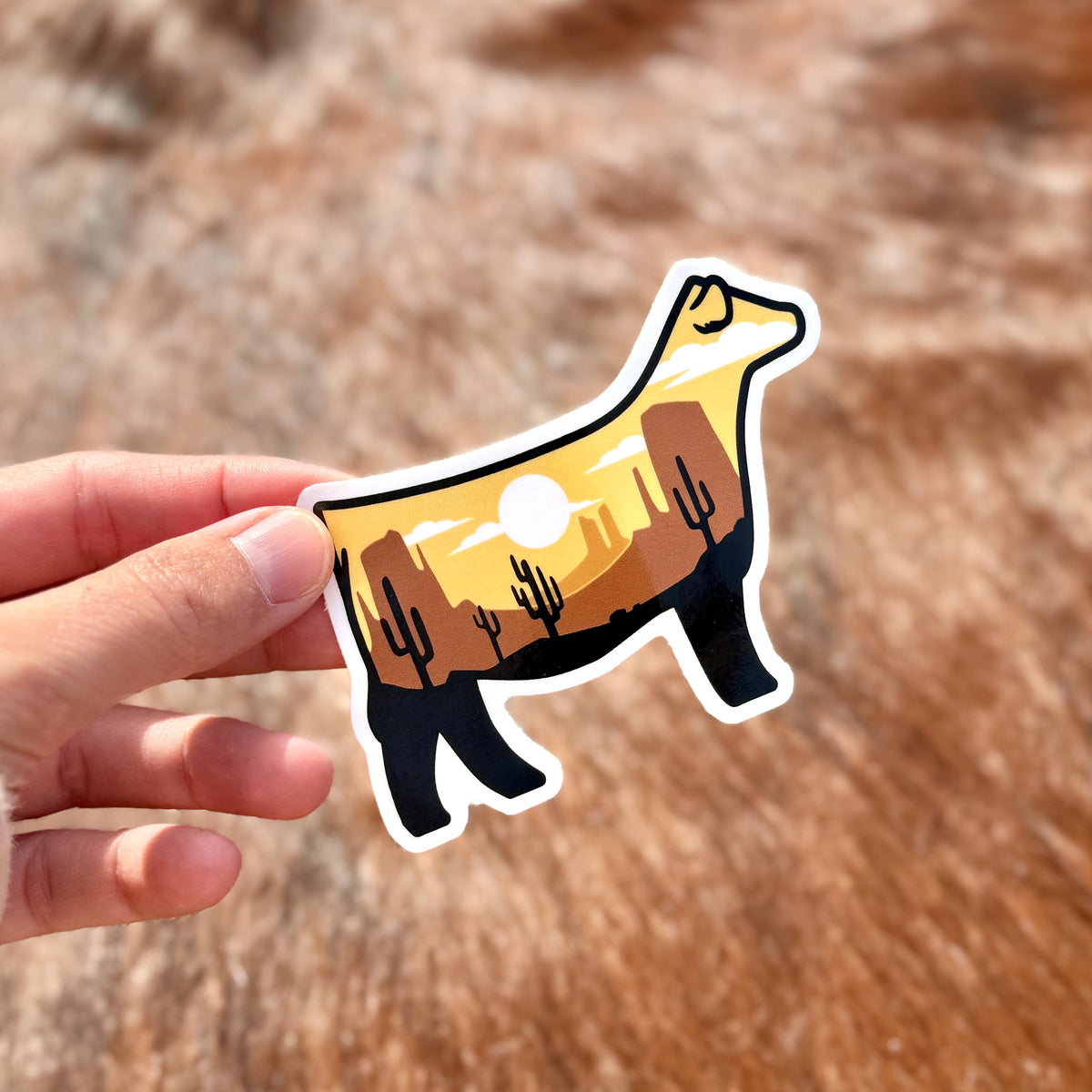 Hand holding a desert-themed show heifer sticker with a blurred natural background.