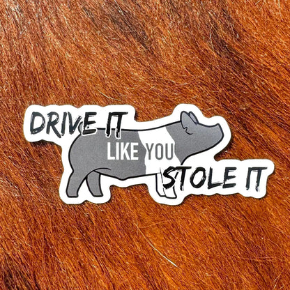 Sticker with a Hampshire show pig graphic and text 'Drive it like you stole it'.
