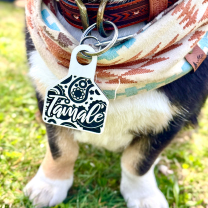 Corgi dog wearing a colorful collar with an engraved livestock tag that reads 'Tamale' on grass.