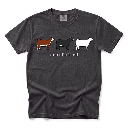A dark charcoal grey colored Comfort Colors t-shirt featuring a line up of a Hereford, Simmental, and Charolais heifer above the text "One of a kind".