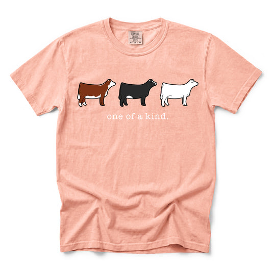 A peach colored Comfort Colors t-shirt featuring a line up of a Hereford, Simmental, and Charolais heifer above the text "One of a kind".